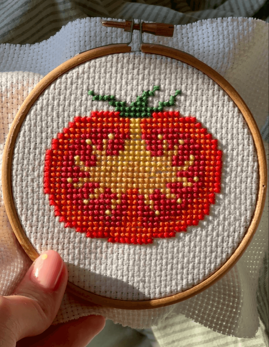 Cross Stitch Workshop